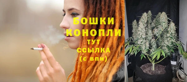 ешки Арсеньев