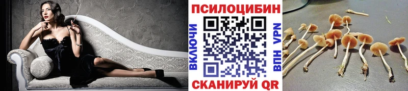 как найти   Талица  ОМГ ОМГ ССЫЛКА  Галлюциногенные грибы прущие грибы 